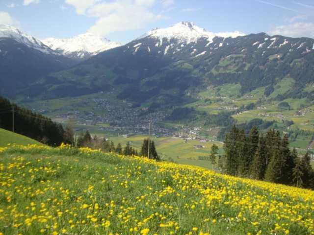 Appartementhaus Eberharter Hart im Zillertal Eksteriør billede