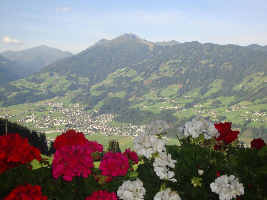 Appartementhaus Eberharter Hart im Zillertal Eksteriør billede